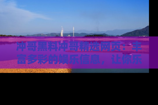 冲哥黑料冲哥精选网页：丰富多彩的娱乐信息，让你乐不停息