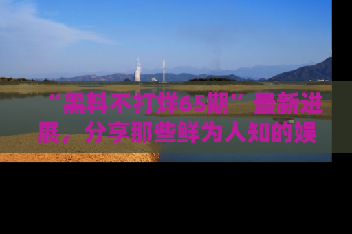 “黑料不打烊65期”最新进展,分享那些鲜为人知的娱乐八卦