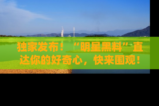 独家发布！“明星黑料”直达你的好奇心，快来围观！