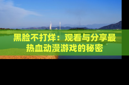 黑脸不打烊：观看与分享最热血动漫游戏的秘密