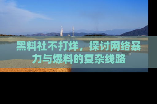 黑料社不打烊，探讨网络暴力与爆料的复杂线路