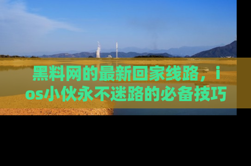 黑料网的最新回家线路，ios小伙永不迷路的必备技巧！