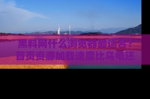 黑料网什么浏览器最适合？首页资源加载速度比乌龟还慢的体验真心吐槽！