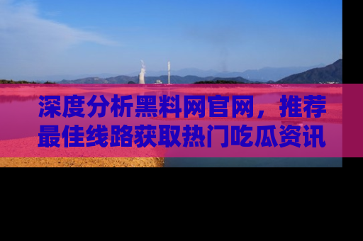 深度分析黑料网官网，推荐最佳线路获取热门吃瓜资讯