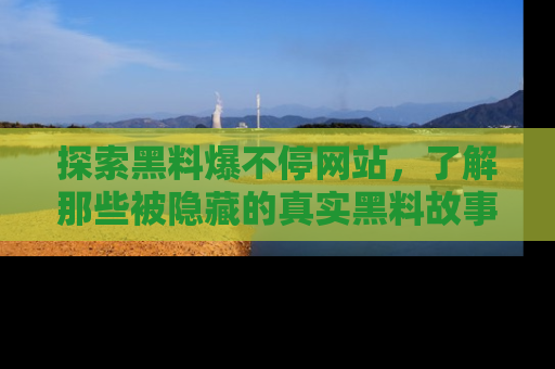 探索黑料爆不停网站，了解那些被隐藏的真实黑料故事