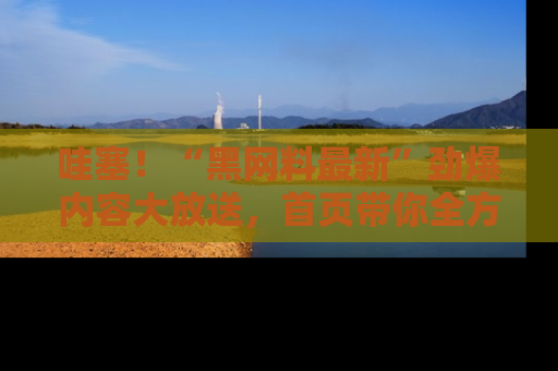 哇塞！“黑网料最新”劲爆内容大放送，首页带你全方位了解哦，小可爱们