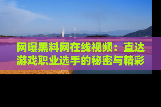 网曝黑料网在线视频：直达游戏职业选手的秘密与精彩动漫片段！