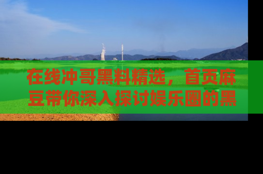 在线冲哥黑料精选，首页麻豆带你深入探讨娱乐圈的黑暗面